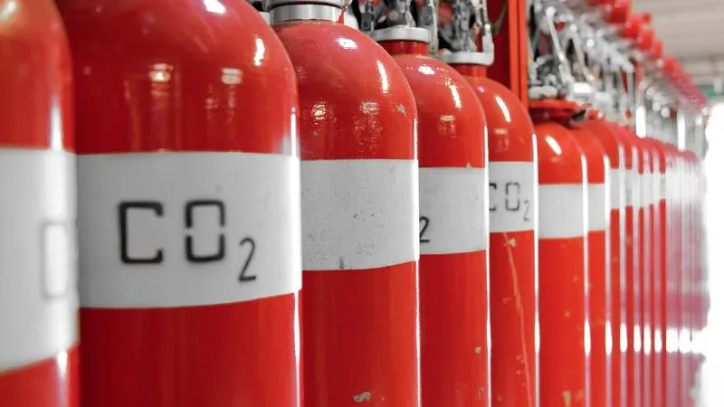 Sistema fixo de CO2 Offshore